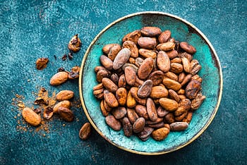 Comment exploiter le cacao sacré dans une thérapie ?